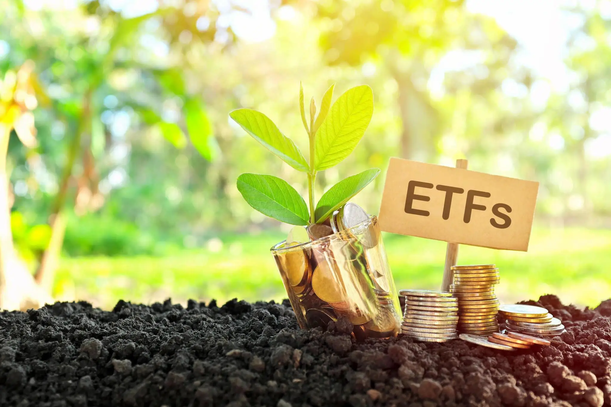 The Indian ETF Saga – A promising story still in its initial chapters 